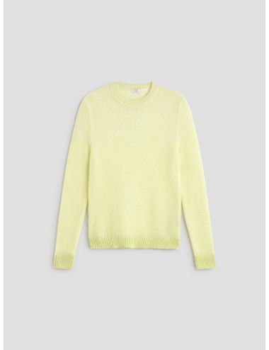 JERSEY LIME