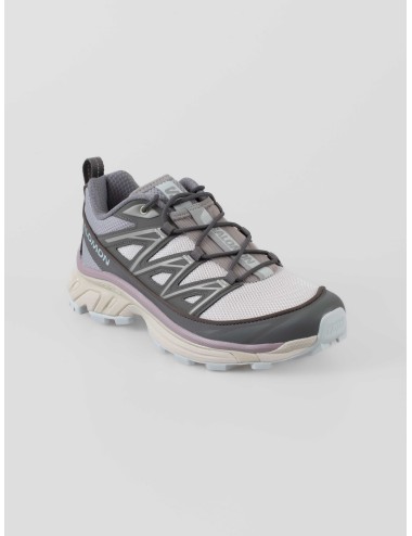 Zapatillas Salomon XT-6 EXPANSE mujer plateado lila - MARFRANC