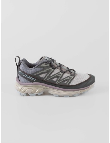 Zapatillas Salomon XT-6 EXPANSE mujer plateado lila - MARFRANC