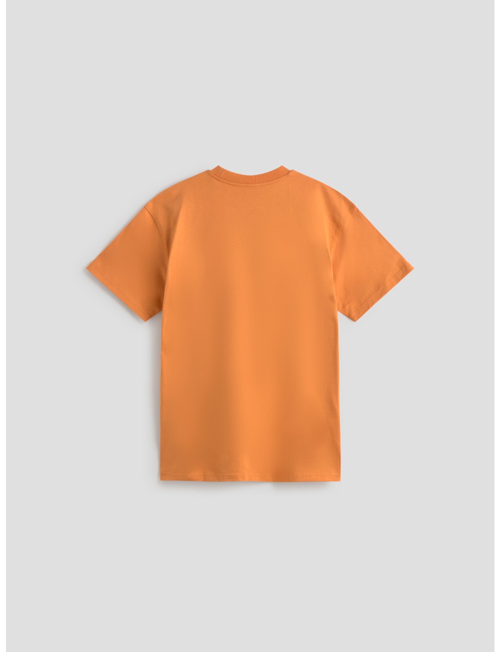 Camiseta Carhartt American Script redhaven hombre algodón orgánico - MARFRANC Camiseta Carhartt American Script redhaven hombre algodón orgánico - MARFRANC