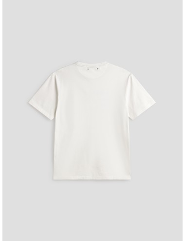 copy of CAMISETA POLO BEAR