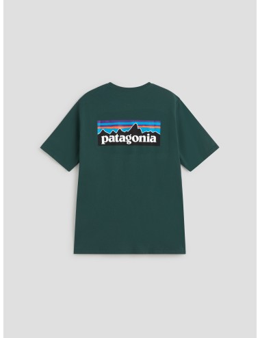 camiseta Patagonia LOGO RESPONSIBILI-TEE verde hombre reciclada - MARFRANC