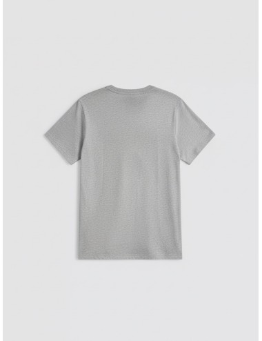 Camiseta ANINE BING COHEN TEE PARIS STENCIL gris para mujer, algodón 100%, estilo urbano sofisticado y contemporáneo - MARFRANC