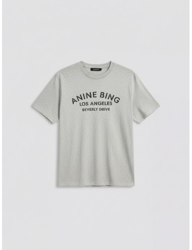 Camiseta ANINE BING COHEN TEE PARIS STENCIL gris para mujer, algodón 100%, estilo urbano sofisticado y contemporáneo - MARFRANC