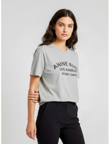Camiseta ANINE BING COHEN TEE PARIS STENCIL gris para mujer, algodón 100%, estilo urbano sofisticado y contemporáneo - MARFRANC