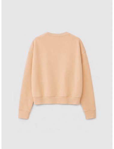 ba&sh - Benjamin - Poudre - Sudadera - Mujer - Algodón orgánico oversize - MARFRANC