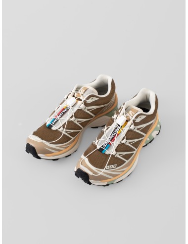 Zapatillas marrón Salomon XT-6 L49205700 mujer con suela Contagrip y sistema Quicklace