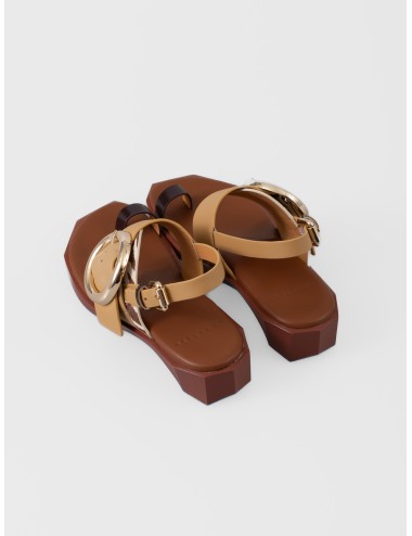 Sandalia plana zebra mix 4CCCCEES Follin Torus con hebilla dorada sobredimensionada