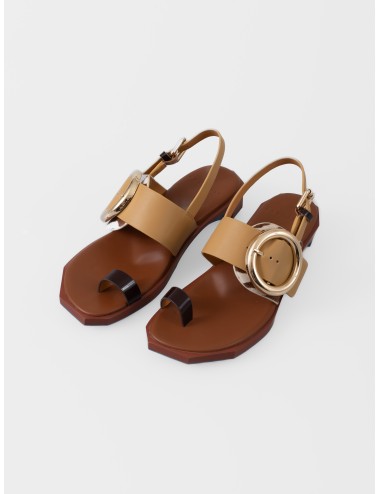 Sandalia plana zebra mix 4CCCCEES Follin Torus con hebilla dorada sobredimensionada