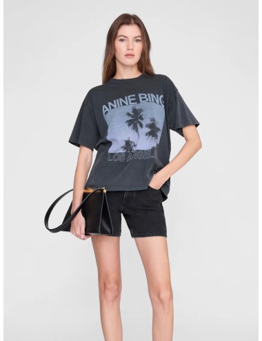 Camiseta Washed Grey Anine Bing Cade Palms con gráfico frontal de palmeras y logo Los Angeles