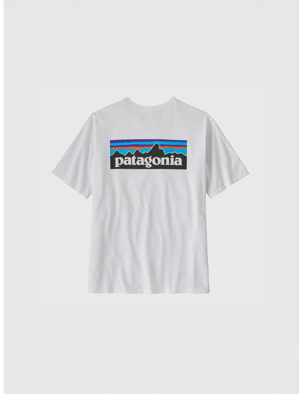 Camiseta de hombre Patagonia
