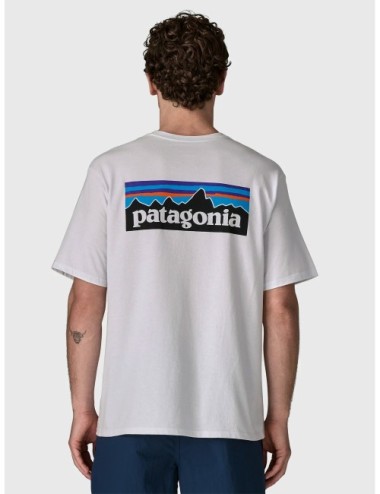 Camiseta de hombre Patagonia