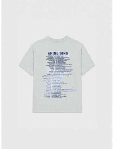 Camiseta verde agua lavado ANINE BING Cade con acabado lavado