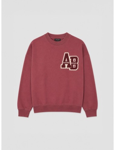 Sudadera MILES LETTERMAN Anine Bing roja