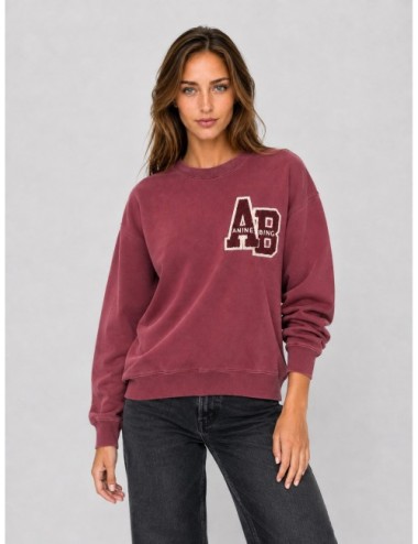 Sudadera MILES LETTERMAN Anine Bing roja