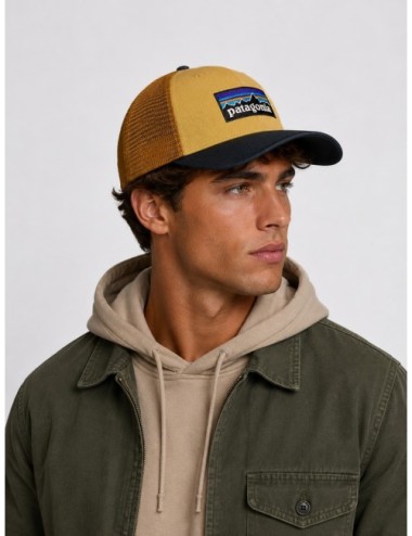 Gorra P-6 Logo Trucker Hat Patagonia beige tostado y azul marino y óxido