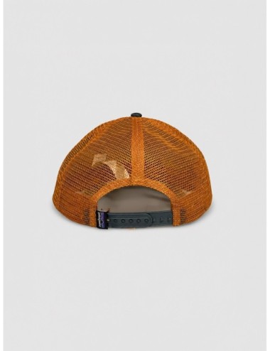 Gorra P-6 Logo Trucker Hat Patagonia beige tostado y azul marino y óxido