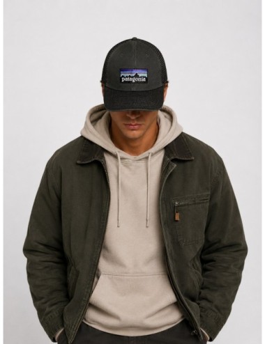 Gorra P-6 Logo Trucker Hat Patagonia gris y negro