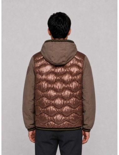 Chaqueta Albert Blauer en marrón