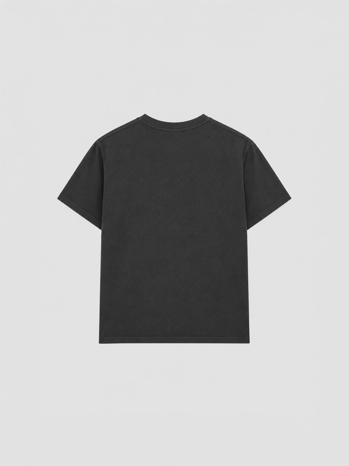 Camiseta Tommer HC Tour Lips Strass Zadig&Voltaire en Carbone