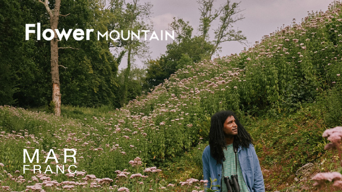 Flower Mountain florece en MARFRANC